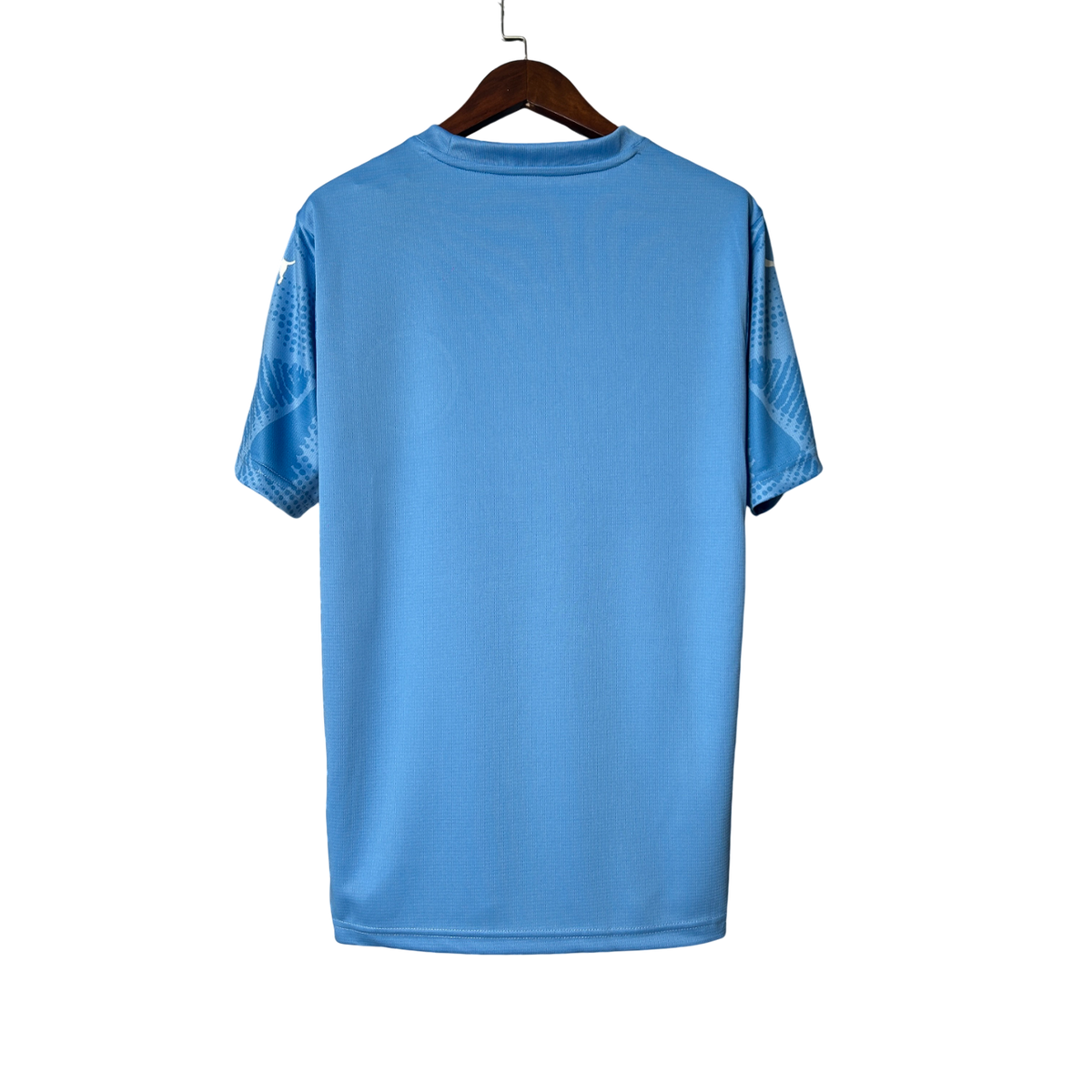 Jersey Goalkeeper Palmeiras 2025/26 Blue Fan