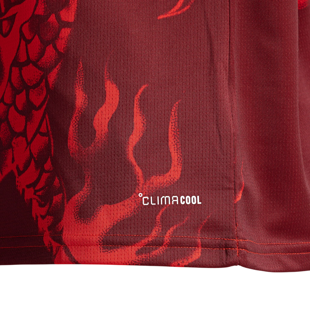 Jersey Internacional 2026/27 III Third Fan