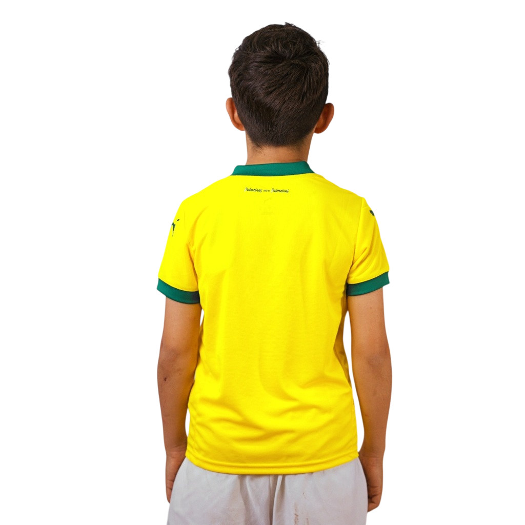 Kids Kit Palmeiras 2025/26 III Fan