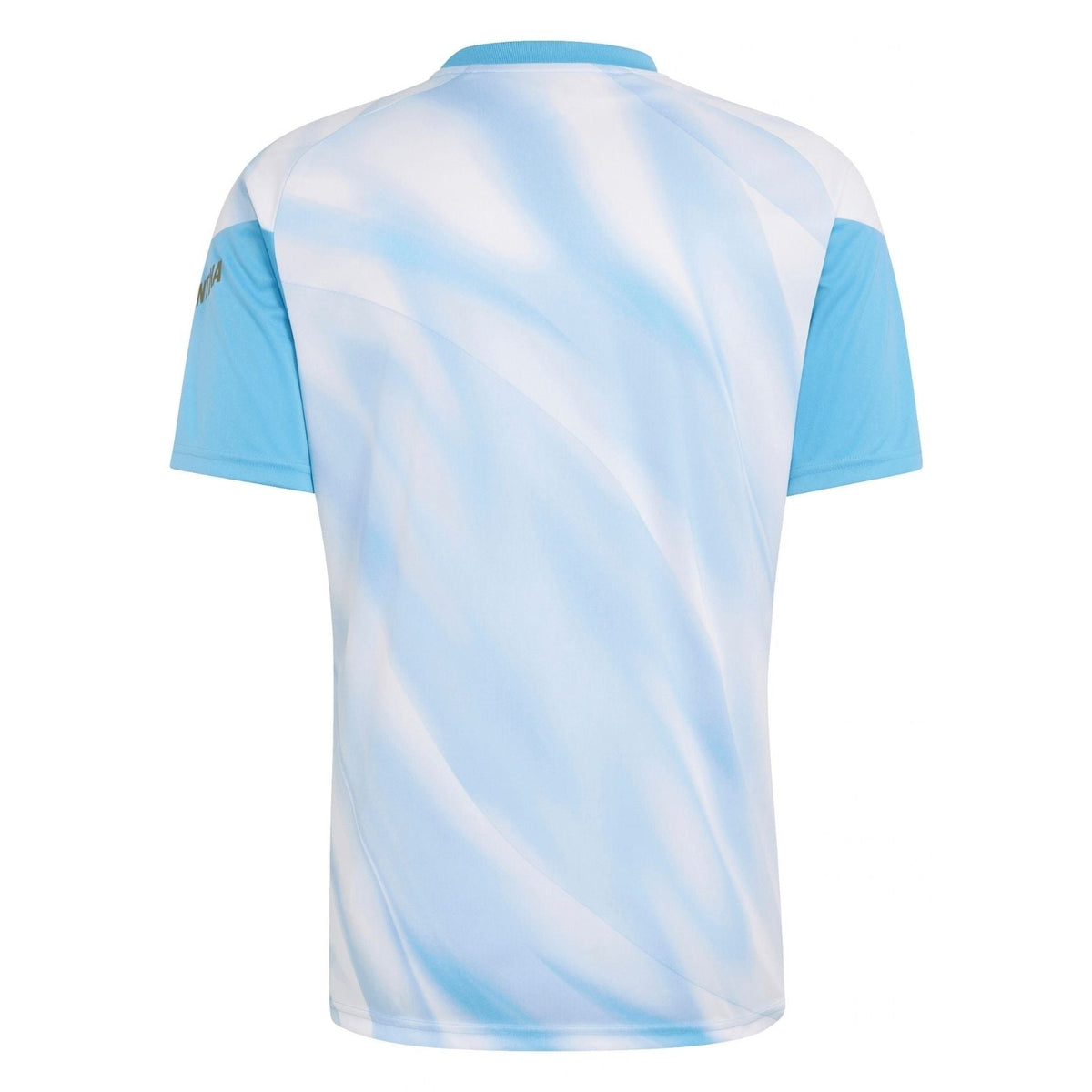 Jersey Argentina 2026/27 Messi Pre-Match Fan