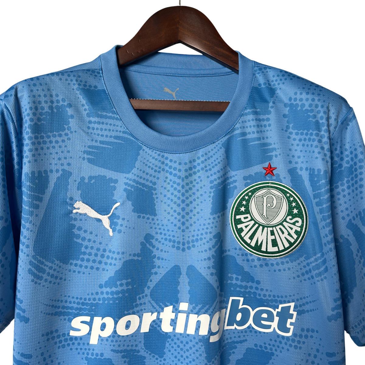 Jersey Goalkeeper Palmeiras 2025/26 Blue Fan
