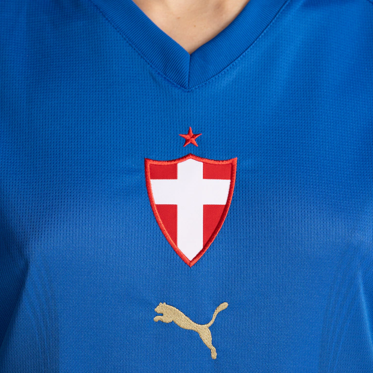 Jersey Palmeiras 2026/27 III Third Fan - Women's